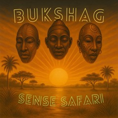 Sense Safari