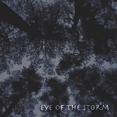 eye of the storm (2004)