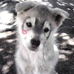 bouncin' off da ######