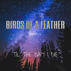 Billie Eilish - BIRDS OF A FEATHER ($WA Remix)