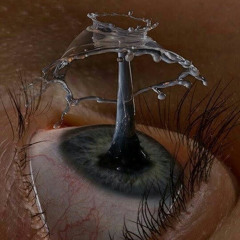 the trees are dancing