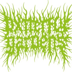 Brazy (Feat. 4k Lij)