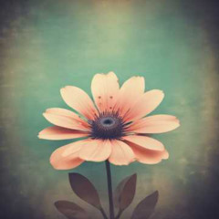 selfish materalistic shallow