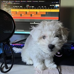 sapient - doin it first (did it first remix)