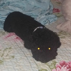 yt1s.com - 505 by arctic monkeys but youre in the bathroom reflecting.mp3