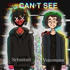 CAN'T SEE