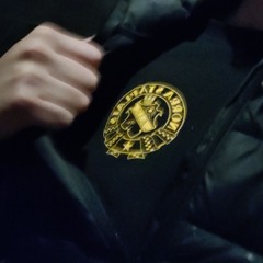 Fasorna på Söderstadion - AIK Trubaduren