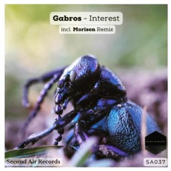 Gabros - Interest (Morison Remix) SA037