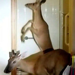 @r0tdaughter - unsew (apt9+starsmp3)