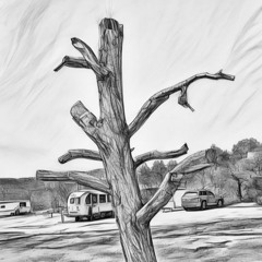 Rose vs. The World: Retrospection 24