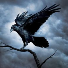 Oriental Night  Beat