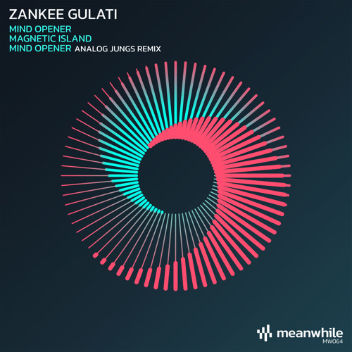 Premiere: Zankee Gulati - Mind Opener (Analog Jungs Remix) [Meanwhile]