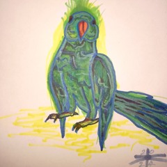 Mourning Bar Birds get started