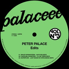 PREMIERE: Bruce Springsteen - Sad Eyes (Peter Palace Edit)