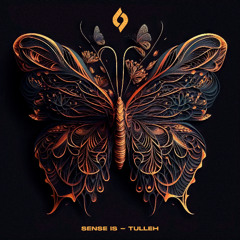 Sense IS - Of Sunrise Asia [Journey of the Soul]