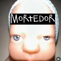 MORTEDOR TYPE SHI
