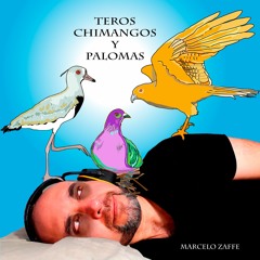 Teros Chimangos Y Palomas