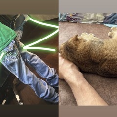 самый ленивый^_^