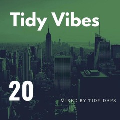 Tidy Vibes Vol. 20