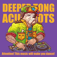 Acid Roots (Original Mix)