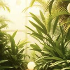 Private Sanctuary Ecology