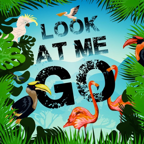 Erd1 - Look At Me Go