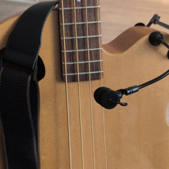 bajo