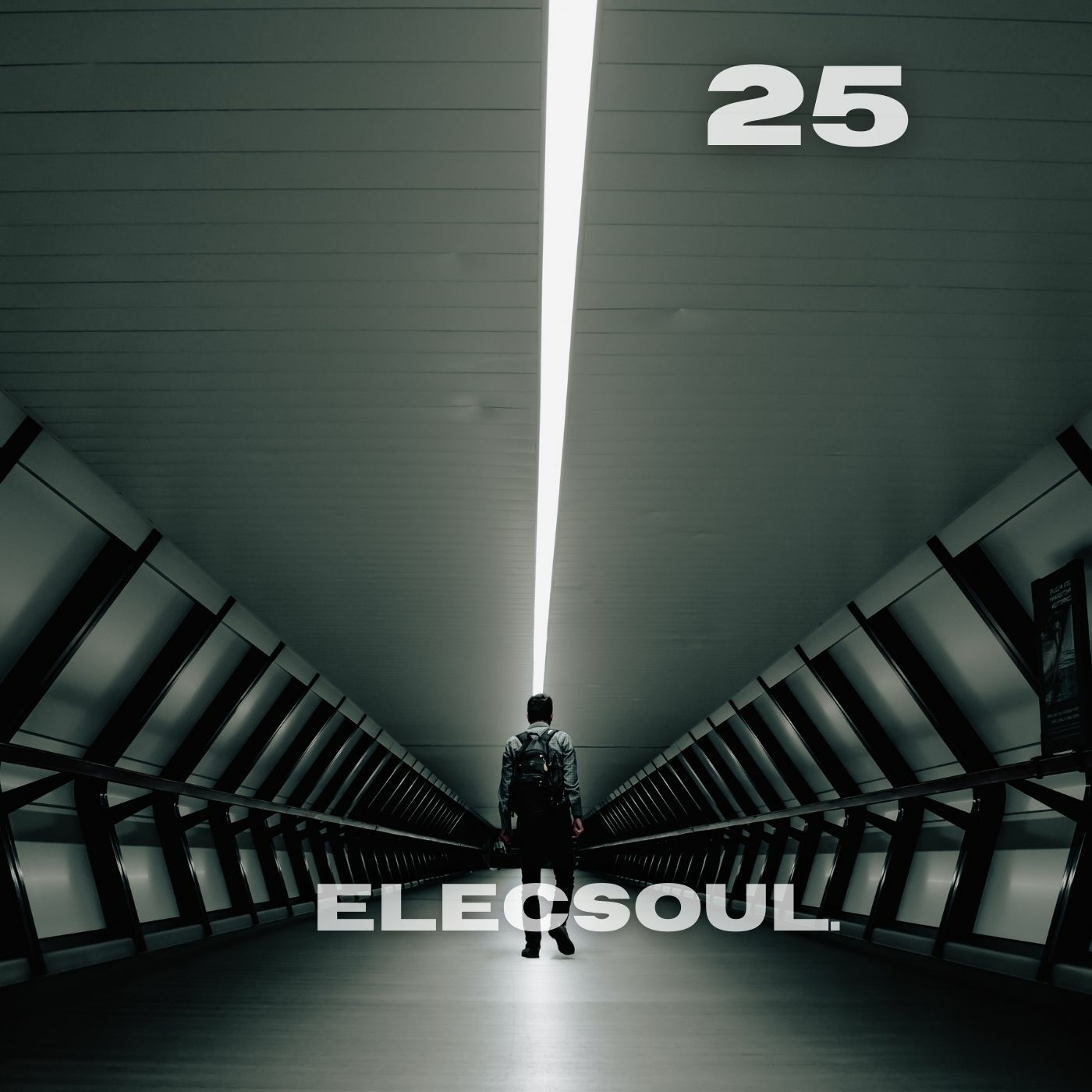 ElecSoul