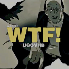 WTF! - UGOVHB  (PROD.EF)