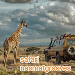 safari