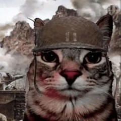 Pissed In Shampoo And Sold It For 67 Cents -Meme Song-Shampiss