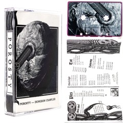 NIECH ŻYJE (form "Dungeon Crawler" album, Smashing Tape Records 2024)