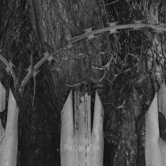 The Crying Tree