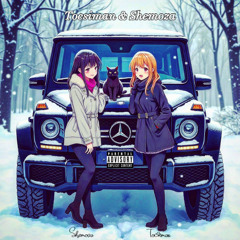 (prod.Shemoza) בנז
