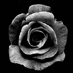 M. (mamabaerchen. x Fezo Edit)