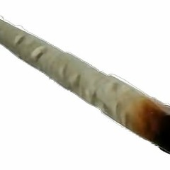 Tu Pinche Puta Perra Madre Putito - Lowboy