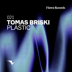 Premiere: Tomas Briski - Secrets Of A Diary [Flown Records]