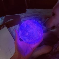 Sam Nicholson - Untitled.m4a