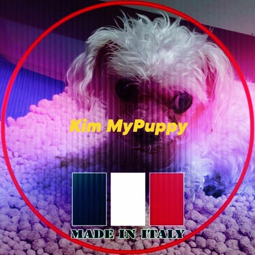 Advance Take Me To The Top My Puppy Kim By Puppy Kim Advance Take Me To The Top My Puppy Kim By Puppy Kim