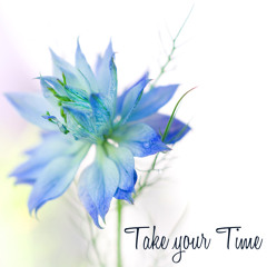 Reiki & Yoga (Relaxation Music)