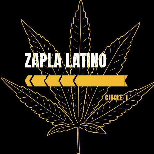 Zapla latino_       circle_1