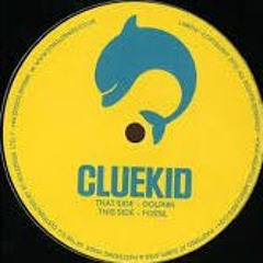 Cluekid - Dolphin