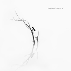 The Rain ~ Collaboration of DarkStar83 & Diana