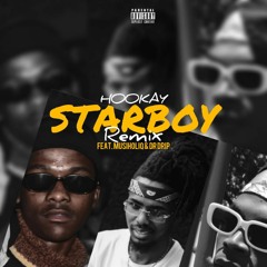 STAR BOY(REMIX) - FT DR DRIP & MUSIHOLIQ.wav