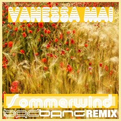 Sommerwind (BadBANG Remix)
