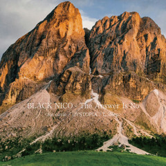 020 BLACK NICO-The Answer Is No-〈for circle / DYSTOPIA / L...deep〉