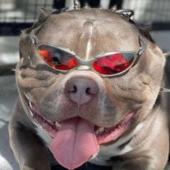 MEGA - METE TUDO 002 ,   DEIXA EU TORAR VC ( ( DJ IZIN ) )