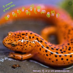 Entanglement w/ DJ Papaya - 24Feb2025