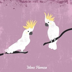 Moez Hamza Podcast For Õmu