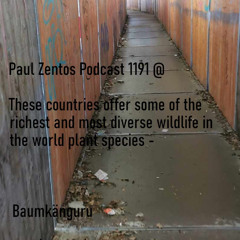 Paul Zentos Podcast 1191 @ These countries offer some of the richest and most diverse wildlife in the world plant species -  Baumkänguru ( Papua ) 12 07 2025